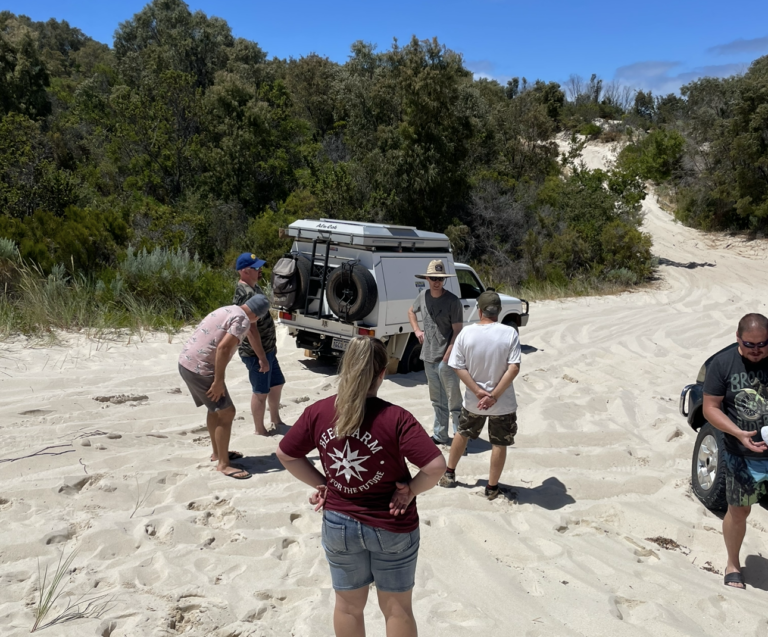 img_95911